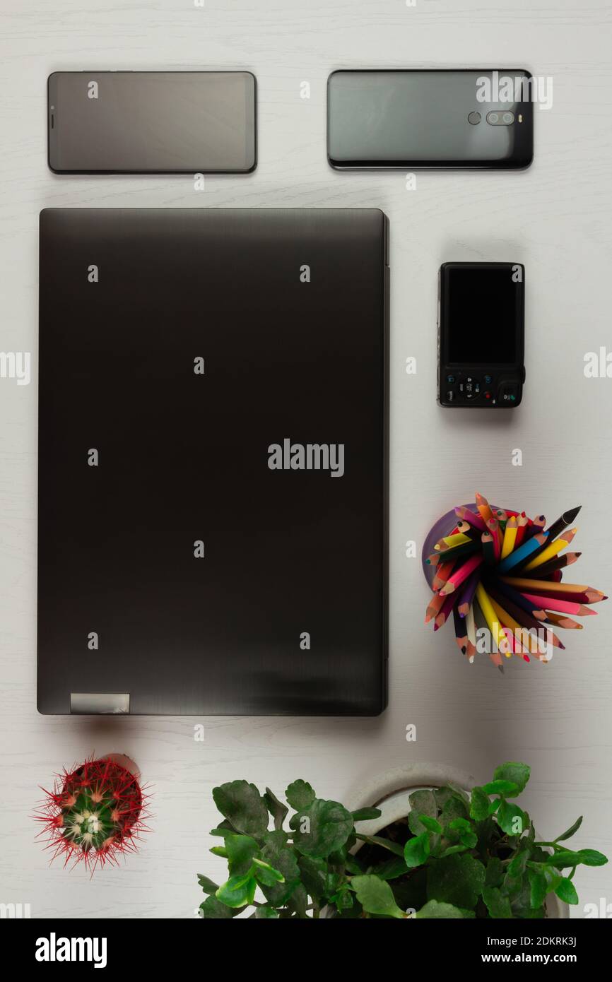 computer portatile, smartphone, macchina fotografica, cactus, matite colorate e una pianta in vaso su un tavolo di legno Foto Stock