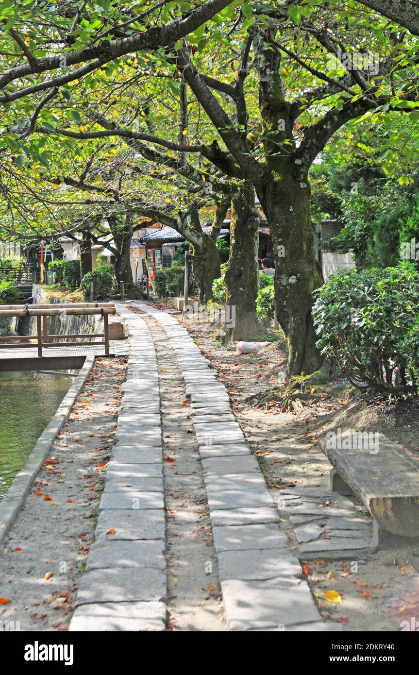 Tetsugaku no Michi, Filosofer's Walk, Kyoto Japan Foto Stock