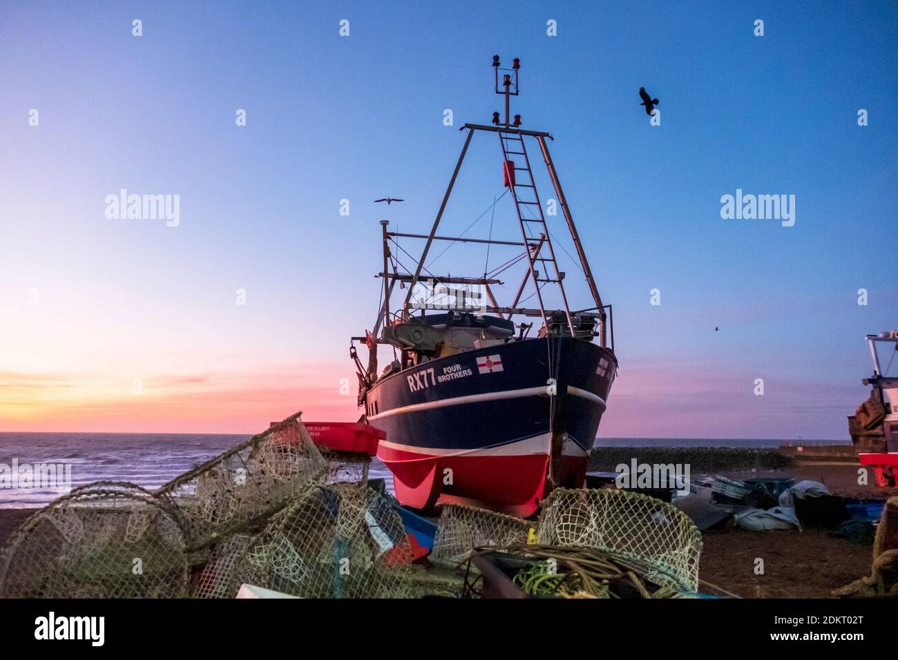 Hastings; East Sussex; UK. 16 dicembre 2020. Colorato alba precoce come gabbiani che brulica in una giornata di sole ventilata ma mite. Carolyn Clarke/Alamy Live News Foto Stock