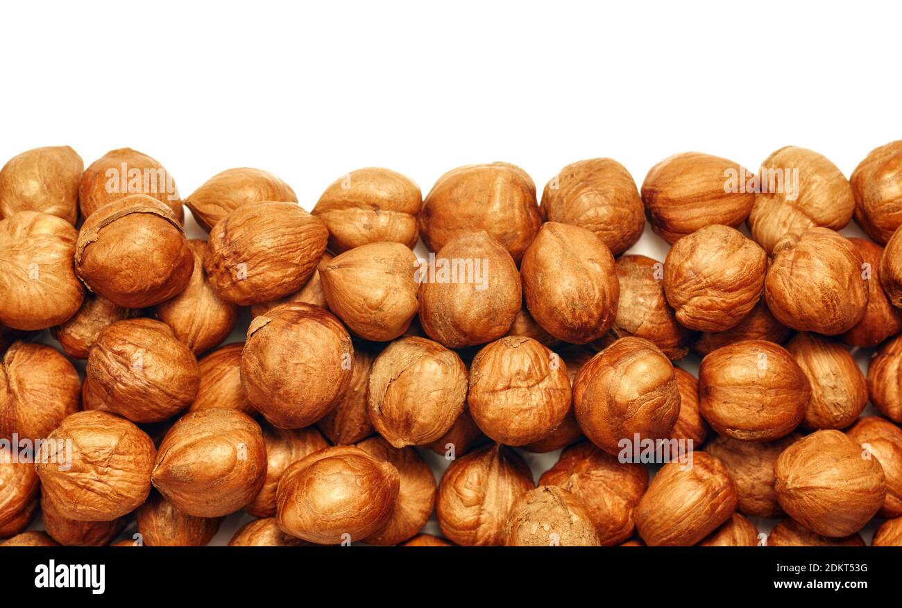 Primo piano immagine delle nocciole isolate su sfondo bianco. Foto Stock