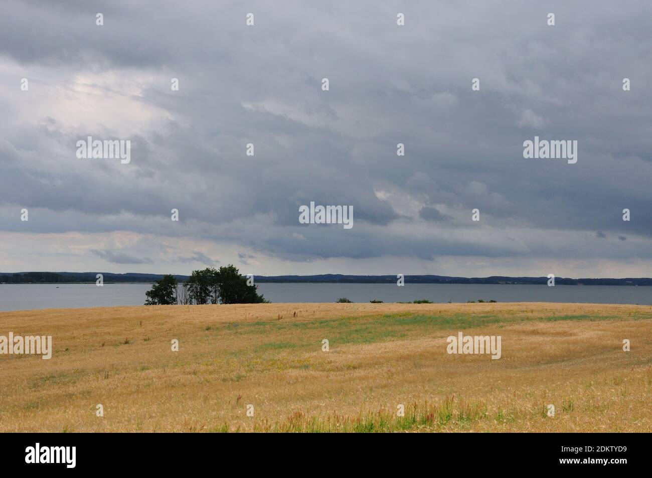 wunderschönen Wanderung über das Loddiner Höft auf der Insel Usedom zum Achterwasser. Schlechtes Wetter zieht auf. Foto Stock