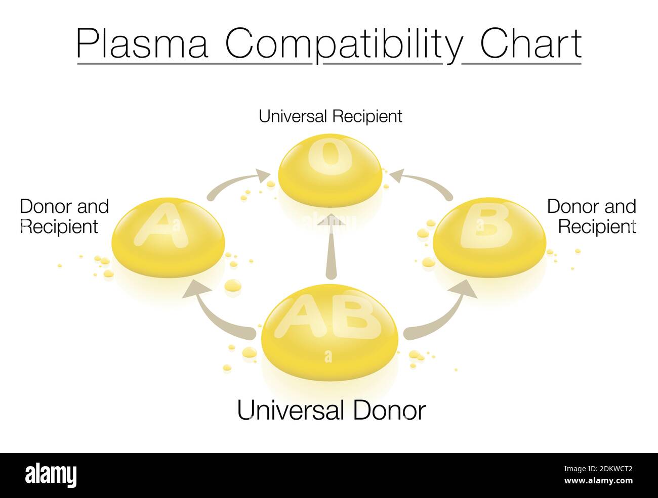 Tabella di compatibilità del plasma con il donatore universale AB e il ricevente universale 0 - riguardante la donazione e la trasfusione di sangue e plasma. Foto Stock