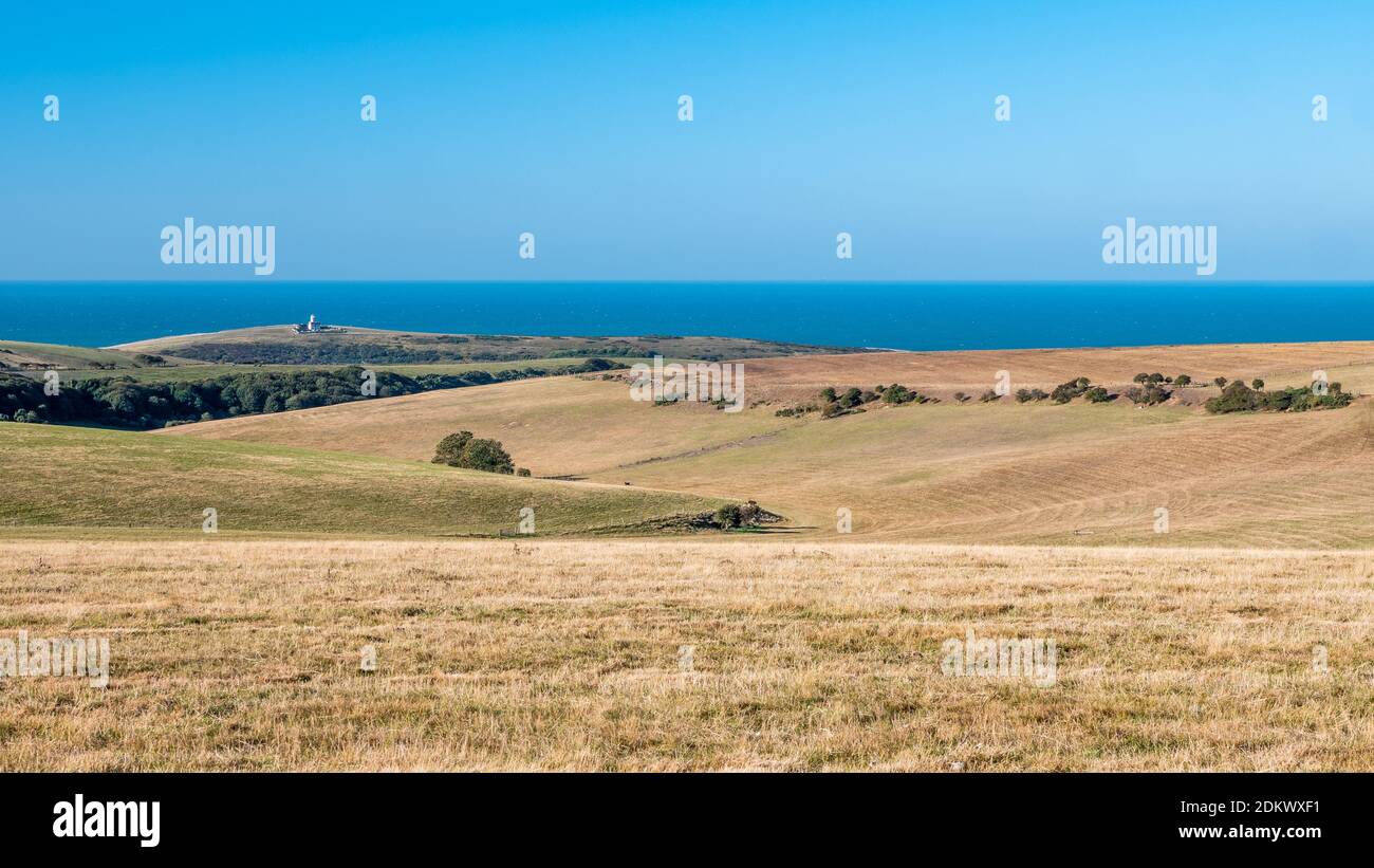 The South Downs, Inghilterra. Le dolci colline e la costa del Sussex orientale, Inghilterra, con il faro di Belle Tout di fronte alla Manica. Foto Stock