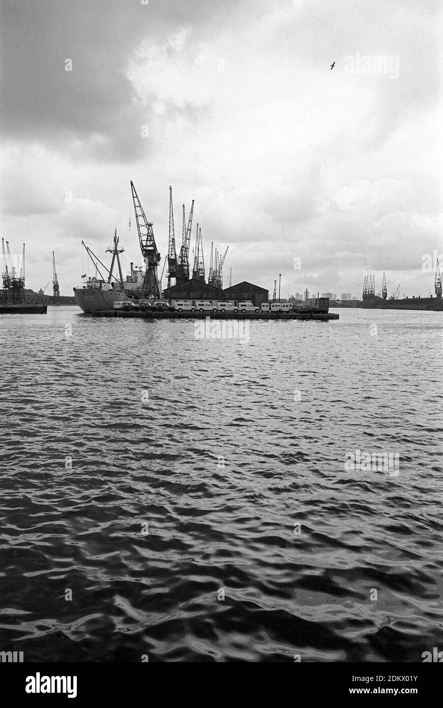 Regno Unito, Londra, Docklands, Isola dei cani, banchine di spedizione, inizio 1974. Veicoli Land Rover per l'esportazione, West India Docks. Foto Stock