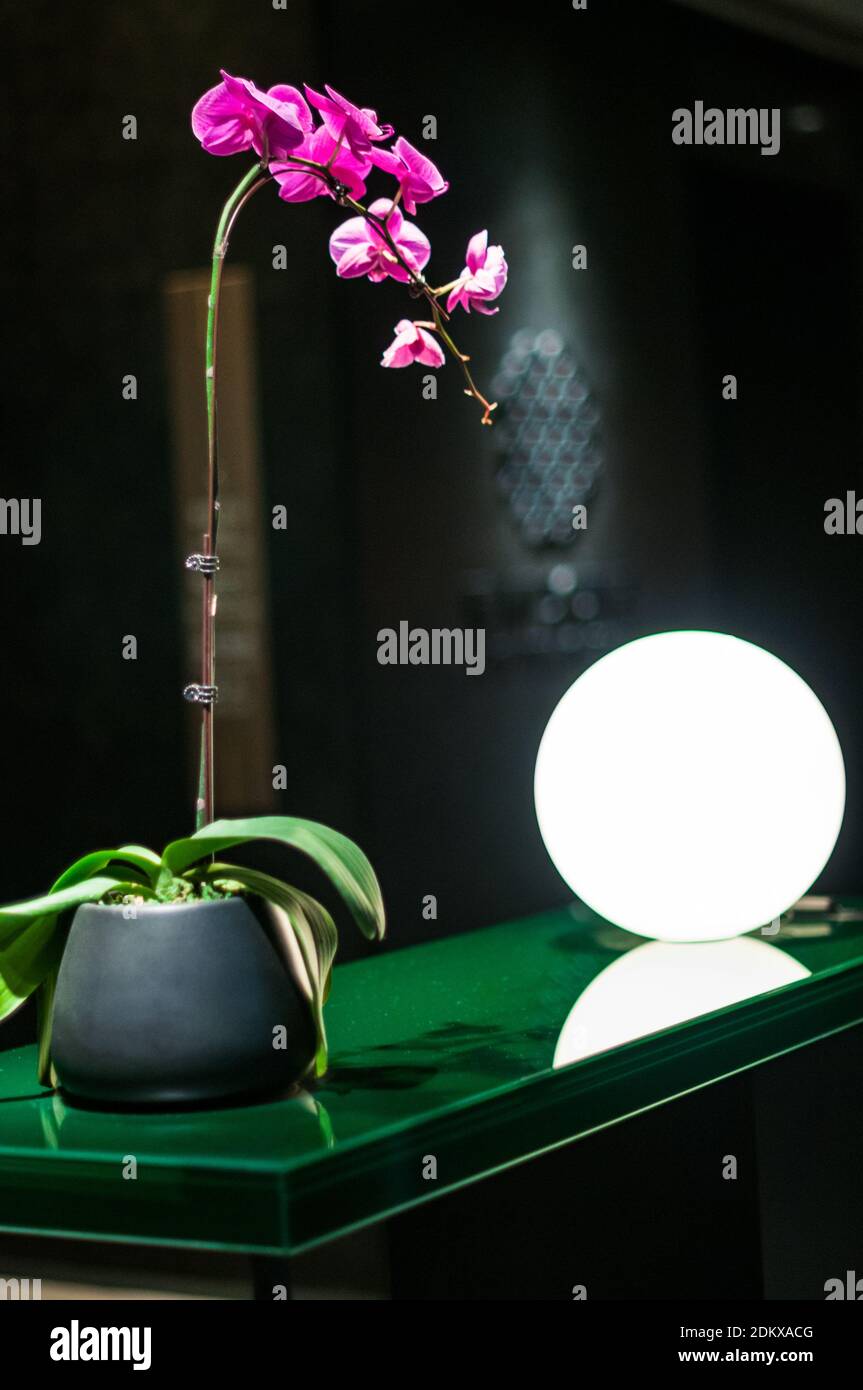 Una decorazione di lampada, piante e tavoli nel seminterrato del Middle House Hotel nel centro di Shanghai. Foto Stock