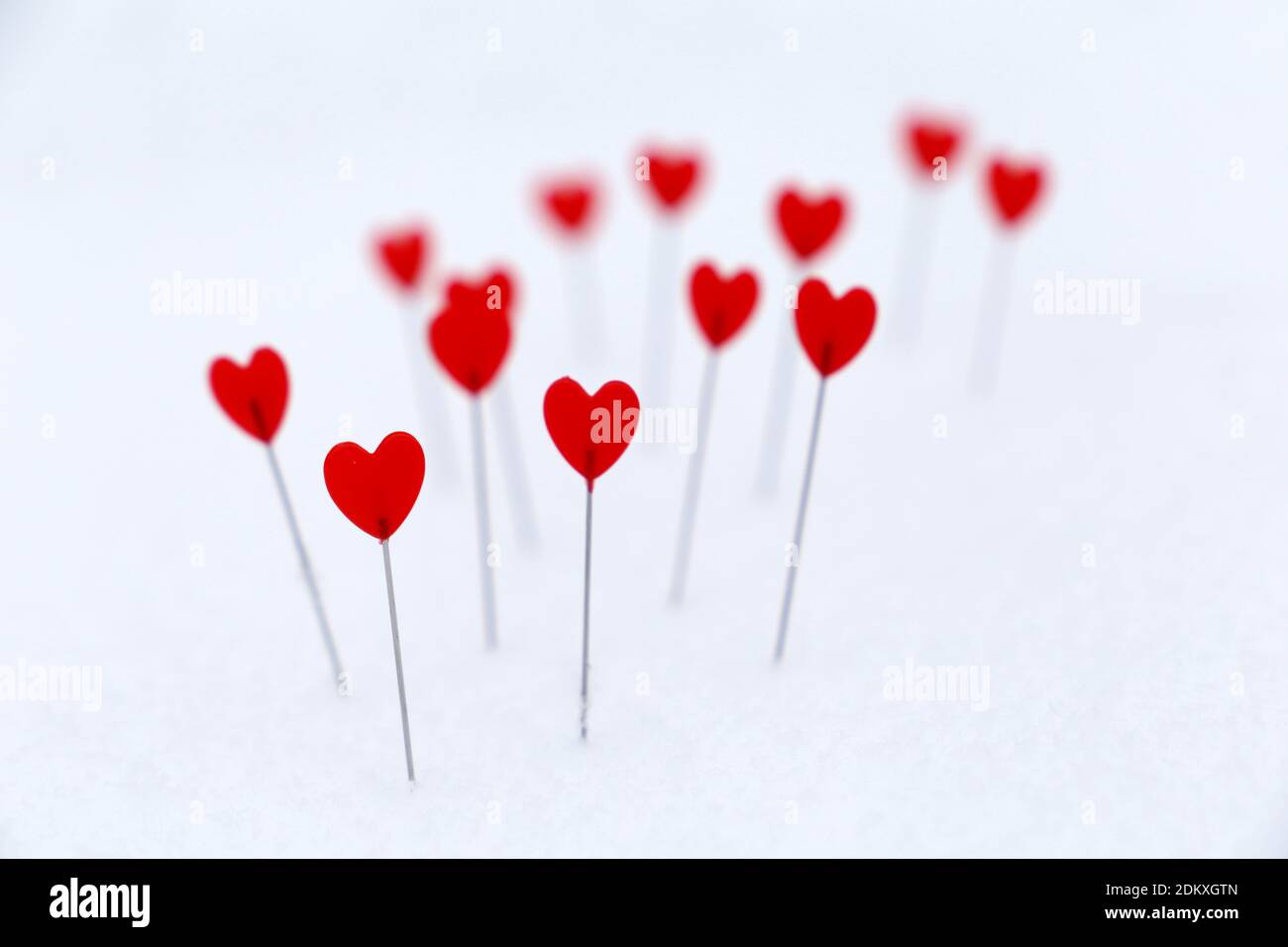 Cuori rossi su una neve. Sfondo per amore romantico, biglietto d'auguri, San Valentino Foto Stock