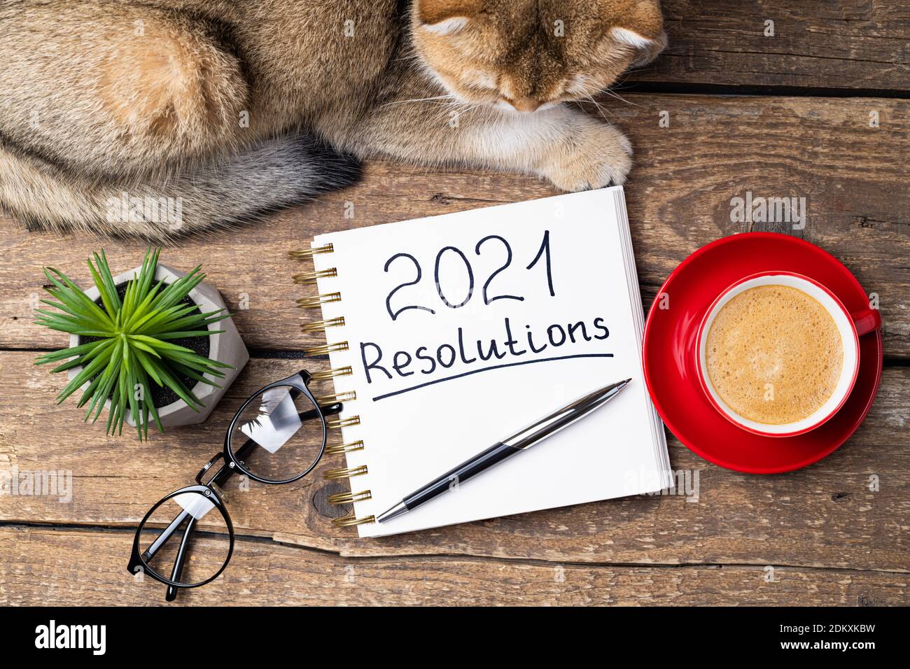 Risoluzioni del nuovo anno 2021 sulla scrivania. 2021 risoluzioni con taccuino, gatto carino, tazza di caffè, occhiali, succulente su sfondo di legno. Obiettivi, piano, stra Foto Stock