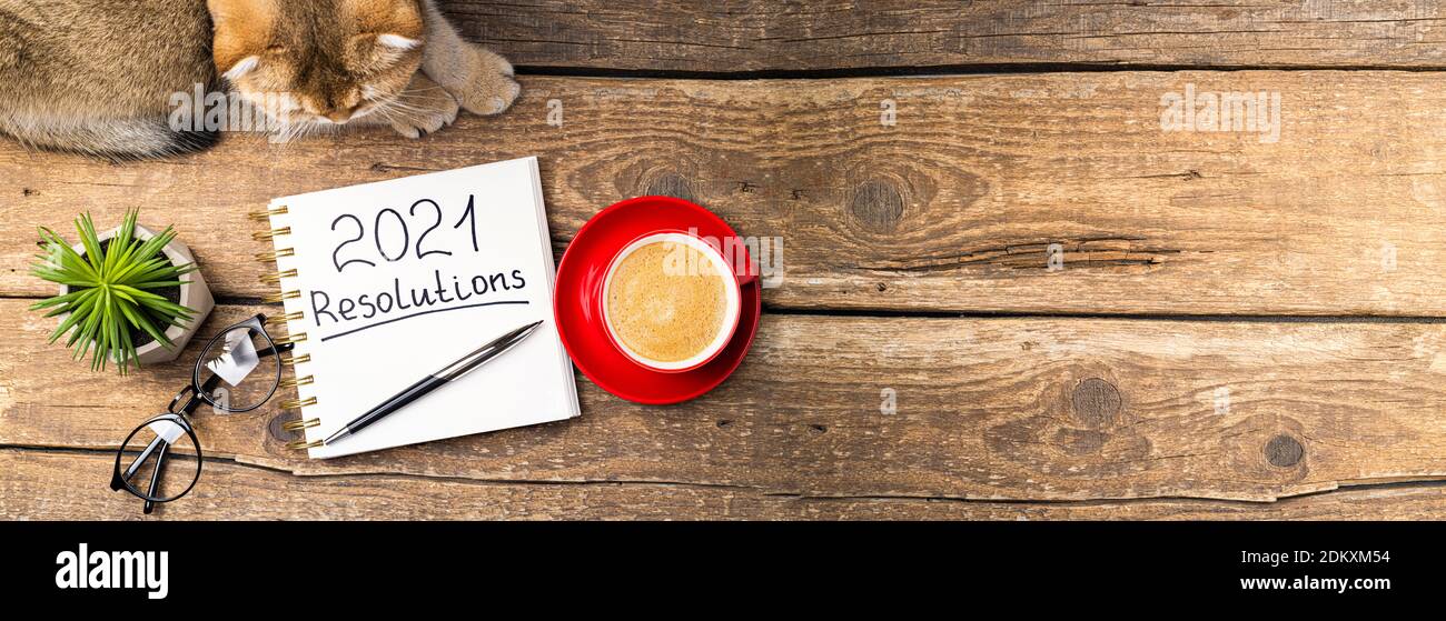 Risoluzioni del nuovo anno 2021 sulla scrivania. 2021 risoluzioni con taccuino, gatto carino, tazza di caffè, occhiali, succulente su sfondo di legno. Obiettivi, piano, stra Foto Stock