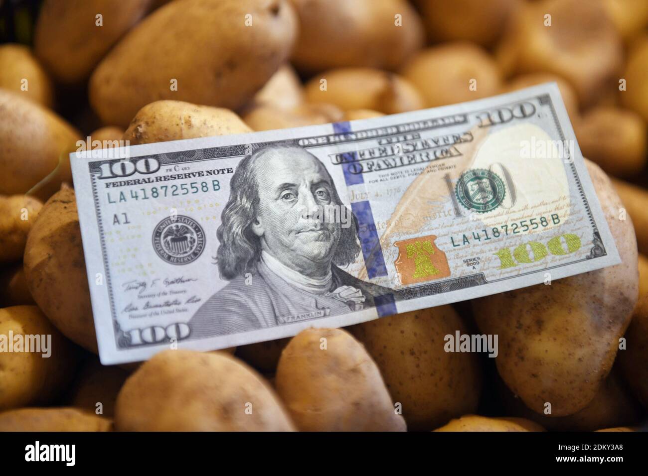 Bolletta di un centinaio di dollari che depone sulle patate Foto Stock