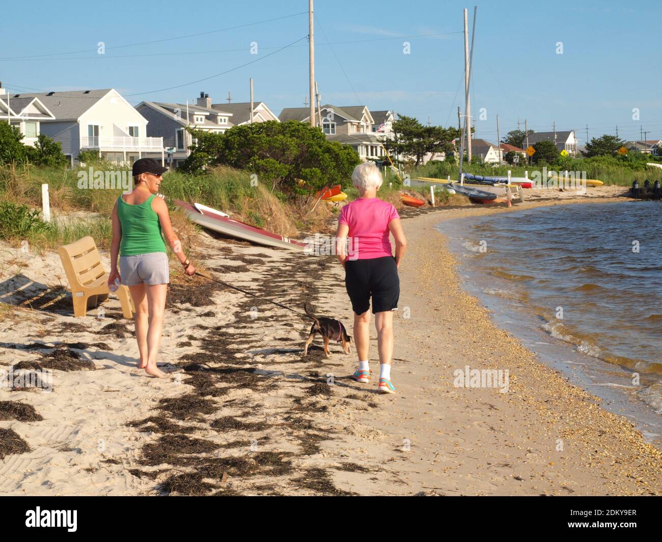 Proprietario e sua mamma con terrier di ratto lungo la costa del New Jersey in estate godendo il calore e il sole. Foto Stock