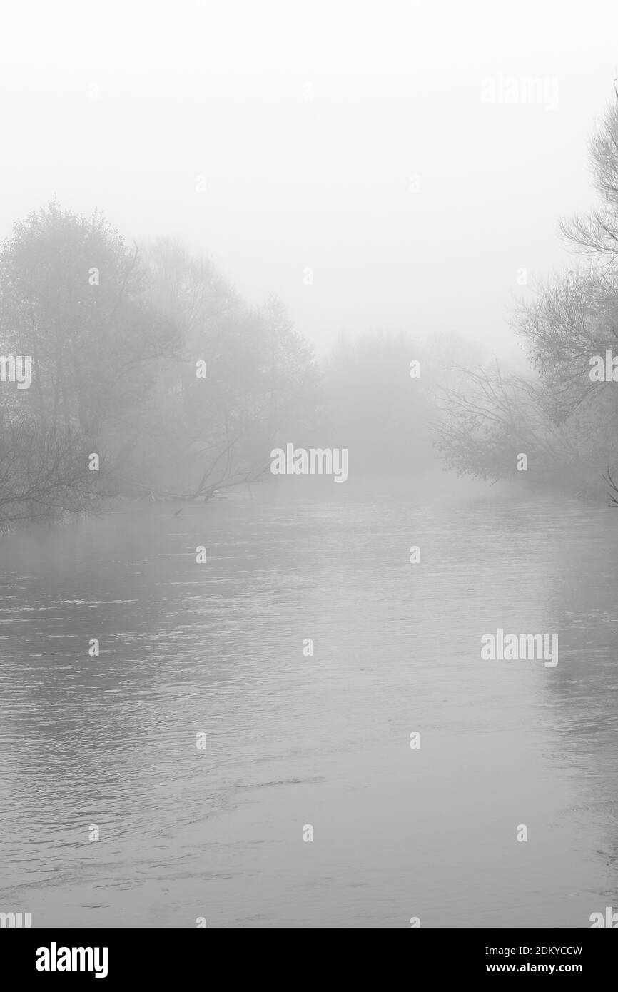 Il fiume scorre tra alberi e erba arenata nella nebbia mattutina in autunno Foto Stock