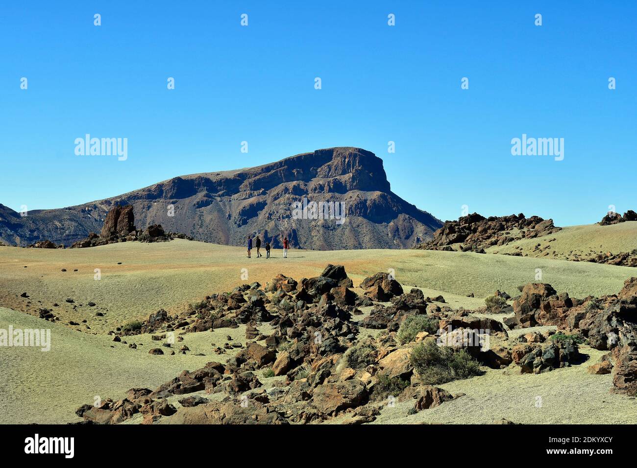 Tenerife, Isole Canarie, Spagna - 05 aprile 2018: Turisti non identificati nella caldera del parco nazionale Teide Foto Stock