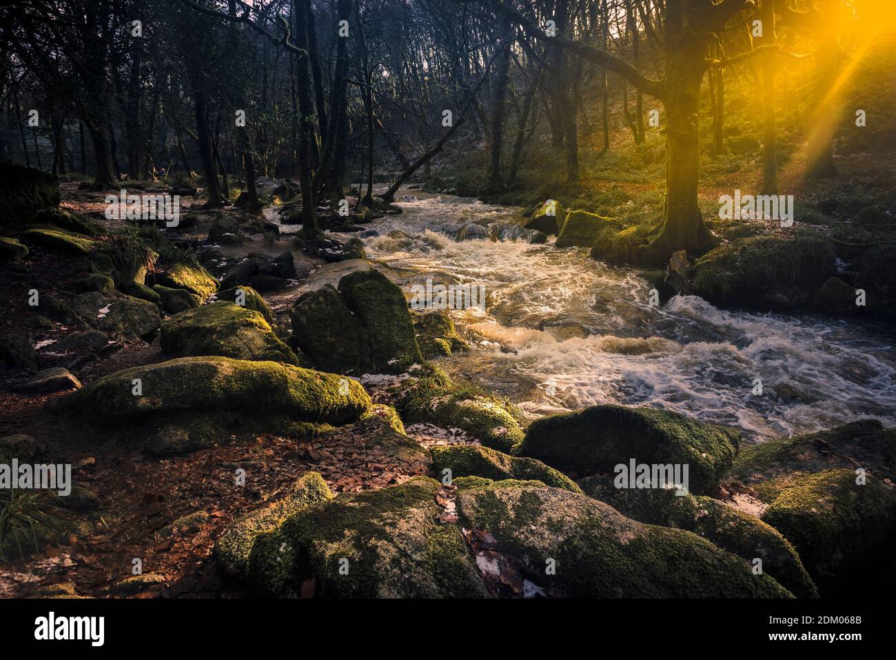Nel tardo pomeriggio luce del sole mentre il fiume Fowey scorre lungo Golitha Falls nello storico e antico bosco Draynes Wood in Cornovaglia. Foto Stock