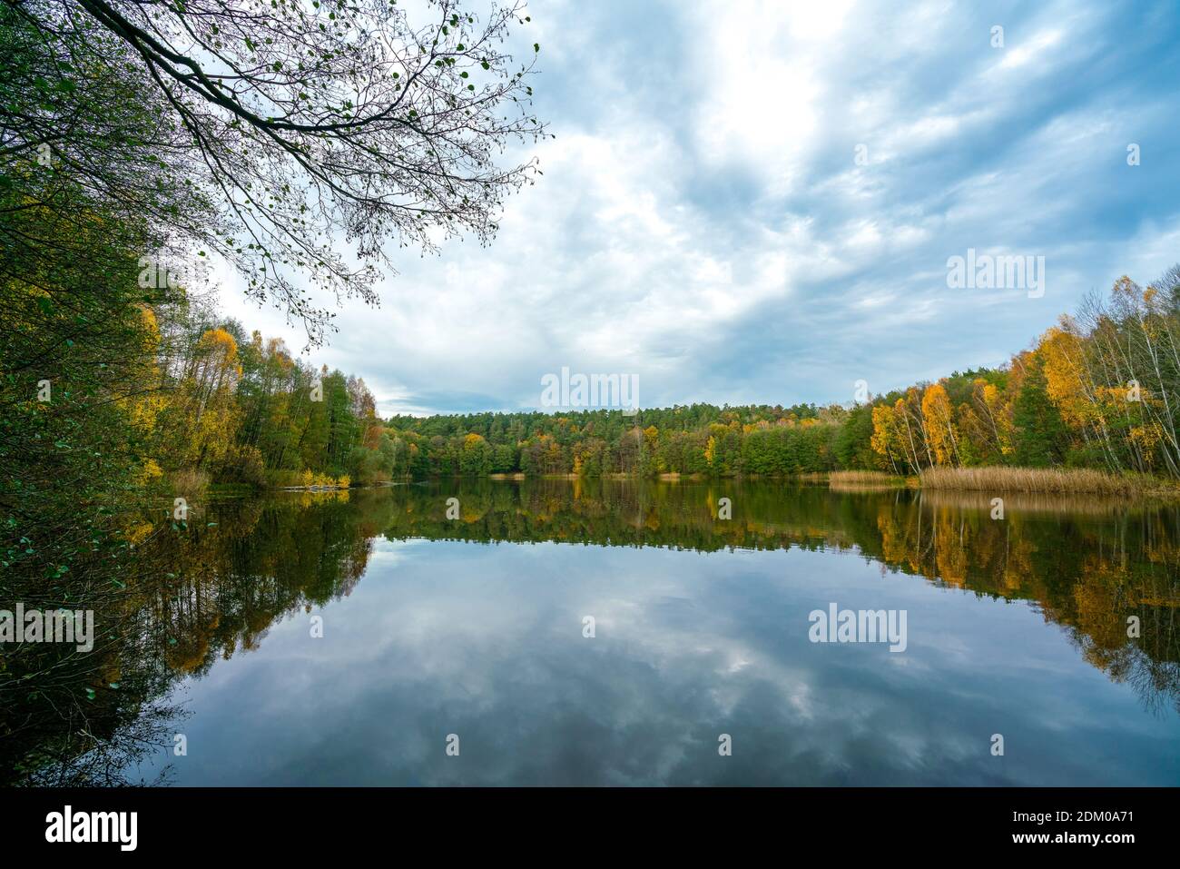 Il lago Papensee vicino a Liebenberg, nel Brandeburgo, in un giorno d'autunno Foto Stock