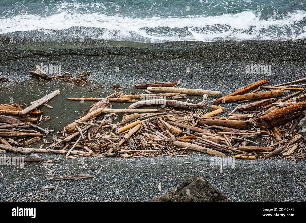 Una spiaggia in legno di driftwood lungo la costa dell'American Camp National Historical Park sullo stretto di Juan de Fuca, Isola di San Juan, Washington, USA Foto Stock