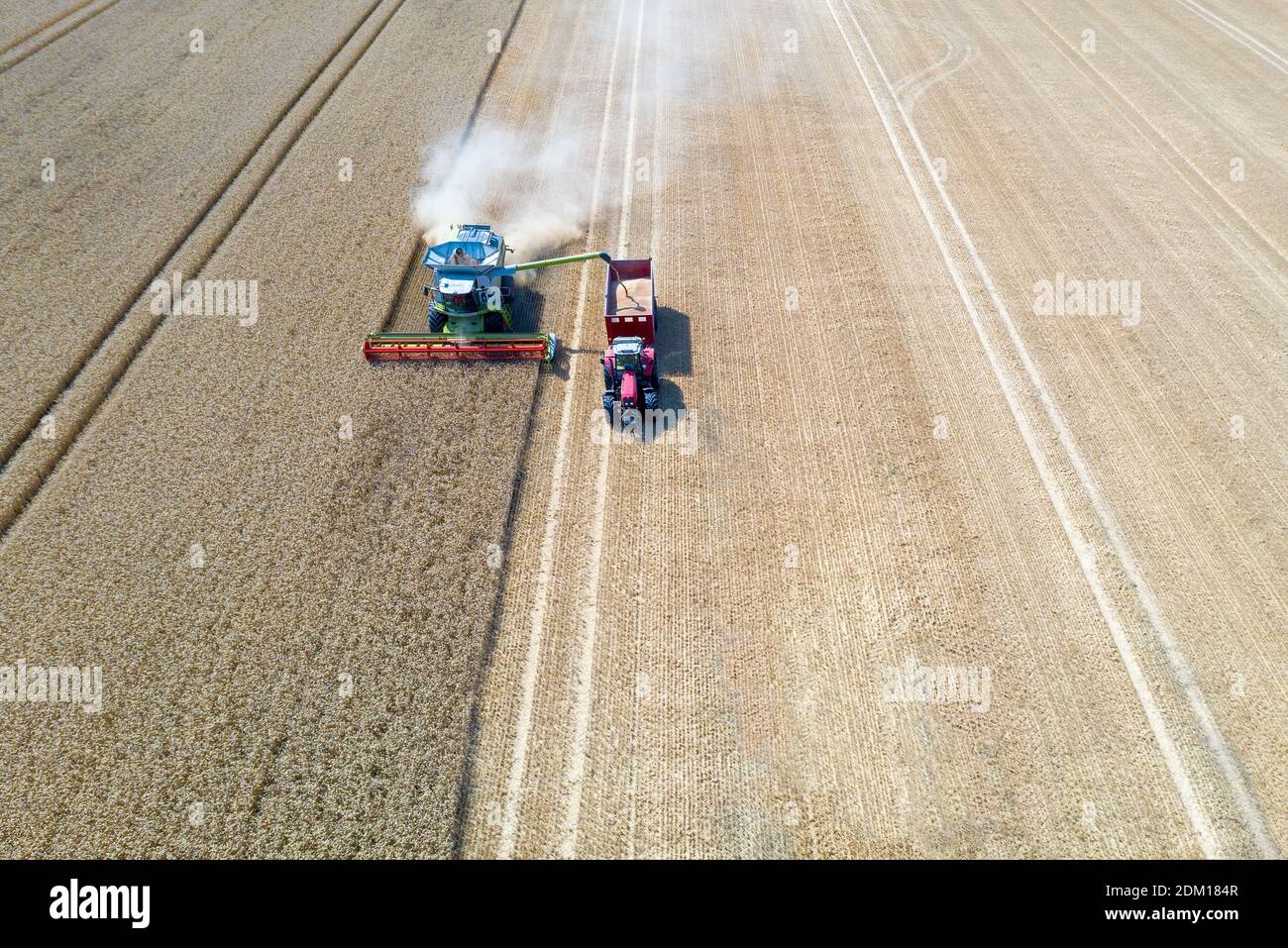 Mietitrebbiatrice e un trattore che raccoglie il grano su un campo, Jutland, Danimarca. Foto Stock