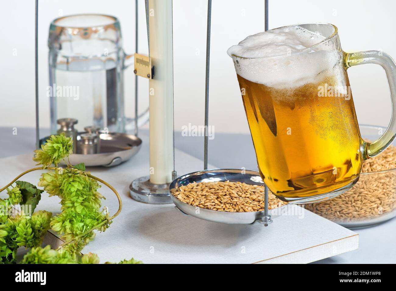 Home Brewing di birra. Bicchiere di birra e materia prima per la produzione di birra. Foto Stock