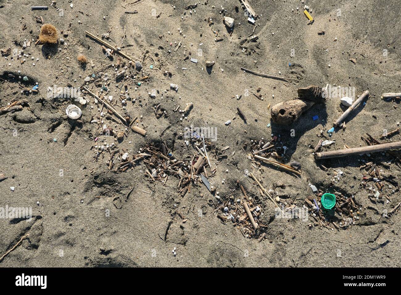 Inquinamento plastico sulla costa del mare sabbioso, contaminazione dei rifiuti ambientali, stampe animali Foto Stock
