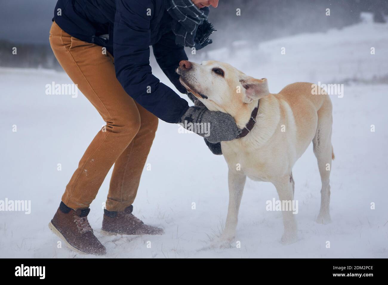 Giovane uomo in abiti caldi che accarezza il cane su campo innevato. Proprietario di animali domestici con il suo labrador Retriever durante la nevicata. Foto Stock