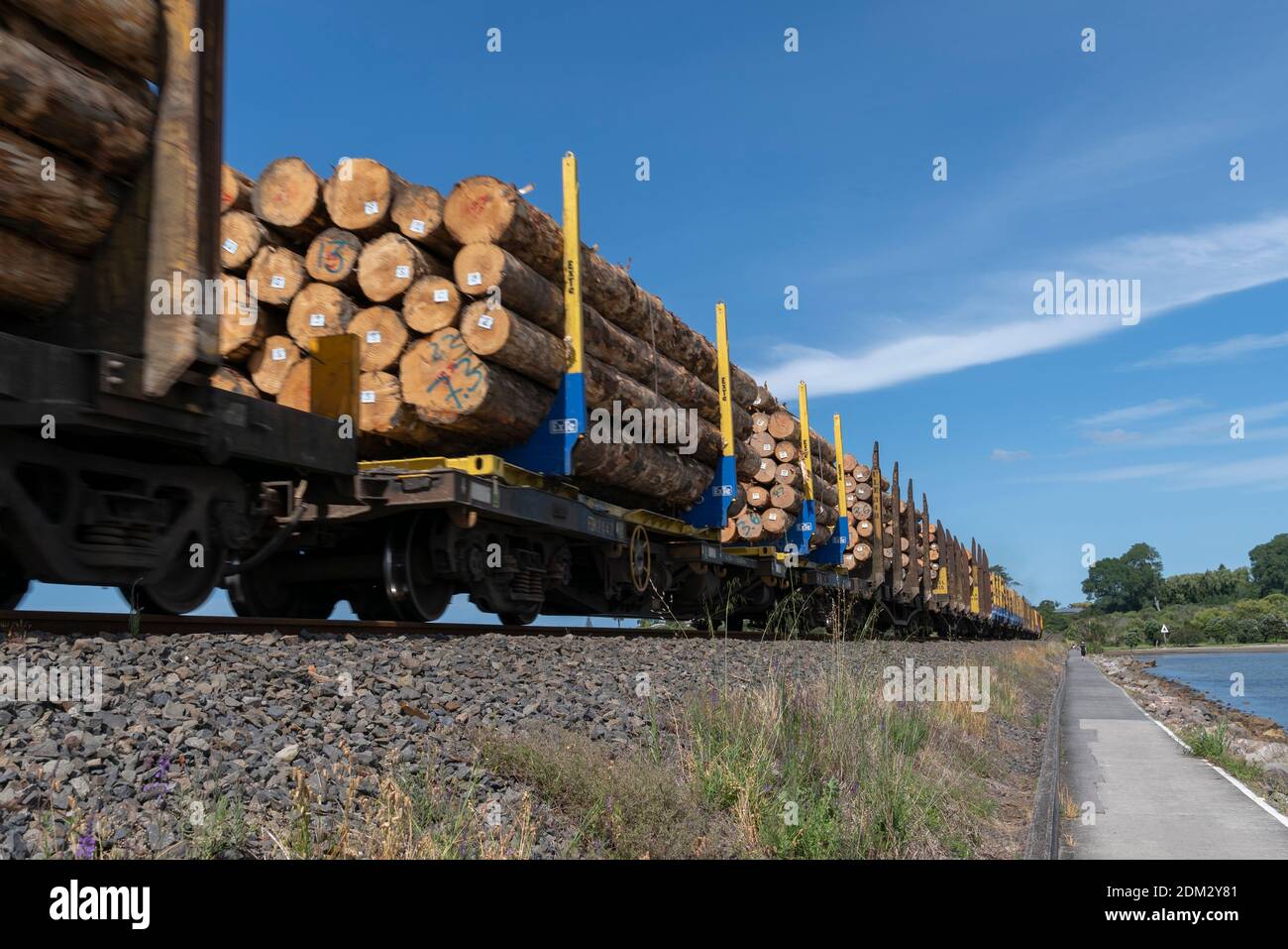 Tauranga Nuova Zelanda - 6 dicembre 2020; carri con carico di legname sul treno passano lungo la ferrovia al porto in treno. Foto Stock