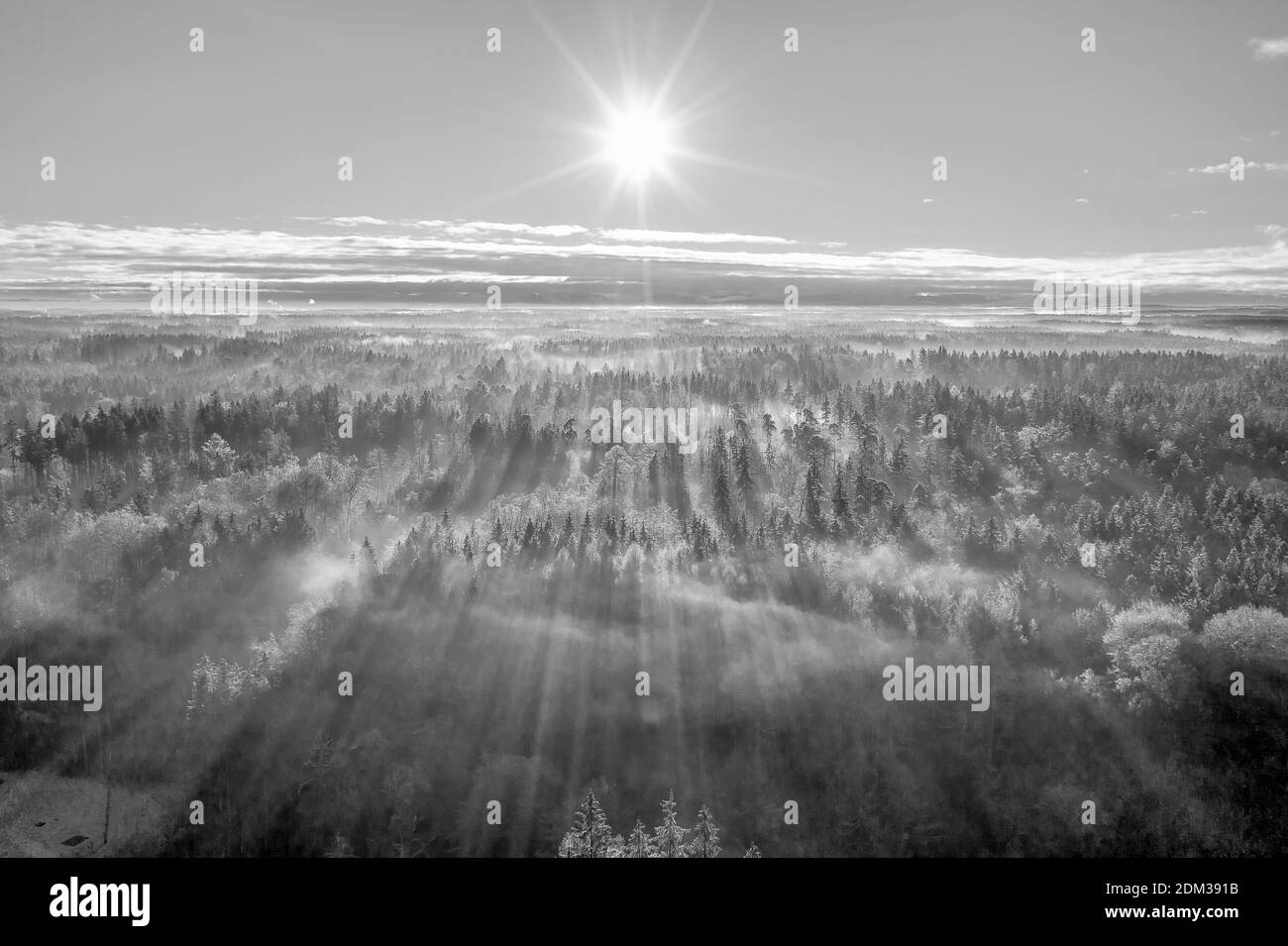 Vista panoramica dei raggi di sole che si tramontano nella foresta, un aereo da un drone su un terreno boscoso. Foto Stock