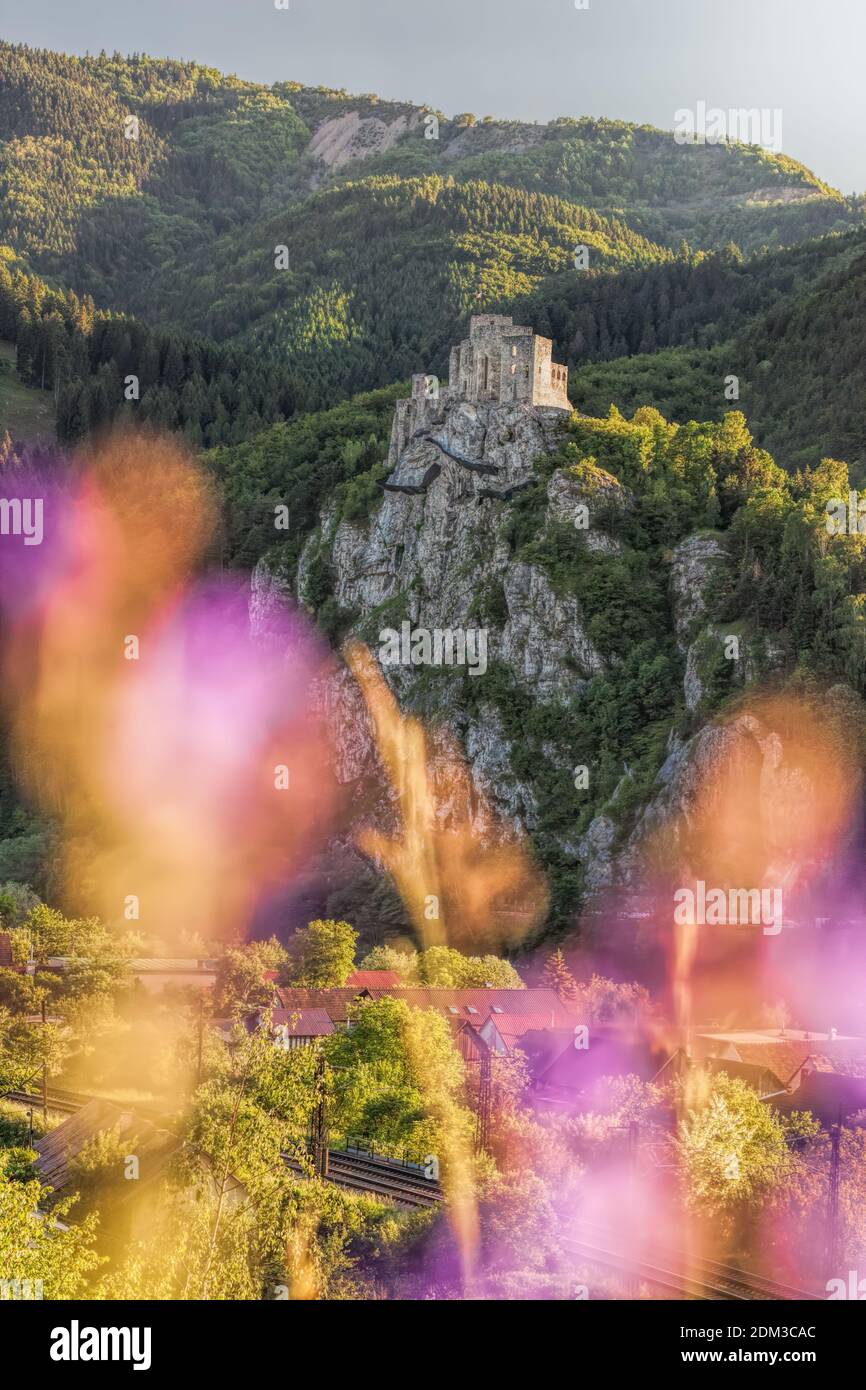 Rovine del Castello di Strecno durante la primavera in Slovacchia Foto Stock