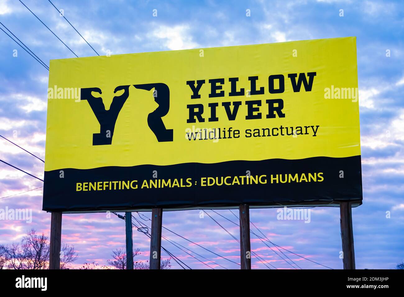 Yellow River Wildlife Sanctuary vicino ad Atlanta, Georgia. (STATI UNITI) Foto Stock
