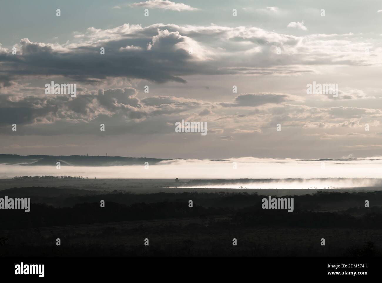 Scenario di Kushiro Marsh al mattino coperto di nebbia Foto Stock