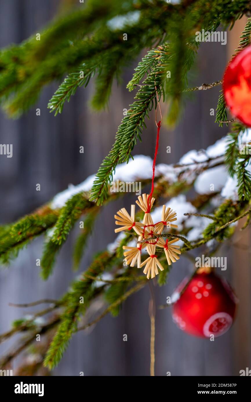 Christbaumschmuck all'aperto am Tannenzweig. Decorazione dell'albero di Natale nella foresta. rote Christbaumkugeln und Strohstern, ora di Natale di Corona Austria Foto Stock