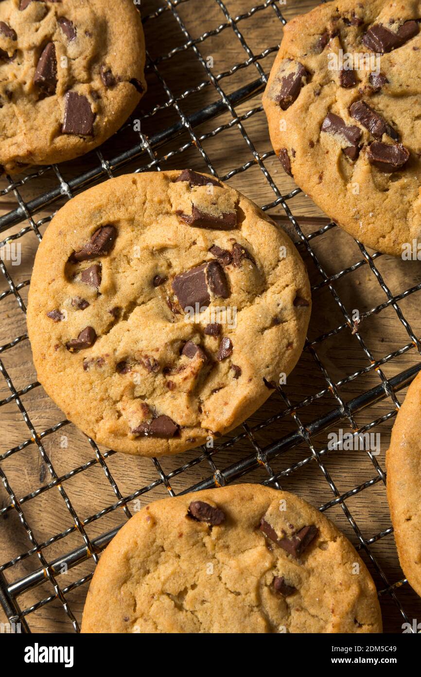 Biscotti caldi fatti in casa con chip di cioccolato su un rack di raffreddamento Foto Stock