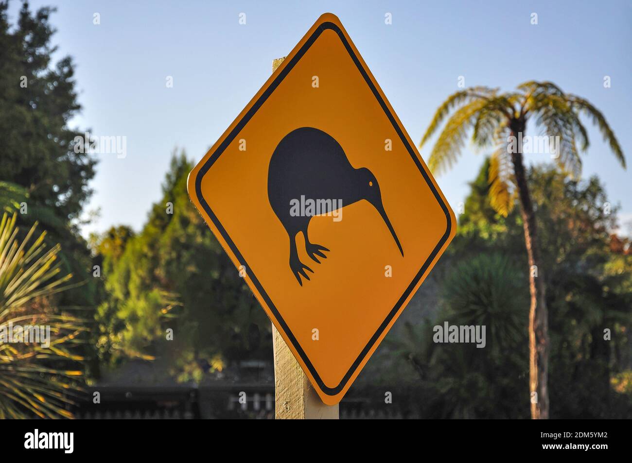 Kiwi cartello stradale, vicino a Rotorua, Baia di Planty Regione, Isola del nord, Nuova Zelanda Foto Stock