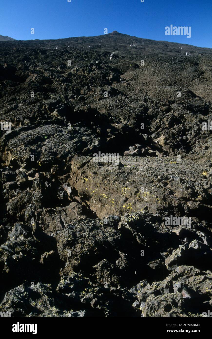 Cratere di Little Belknap da Pacific Crest Trail, Mt Washington Wilderness, Willamette National Forest, Oregon Foto Stock