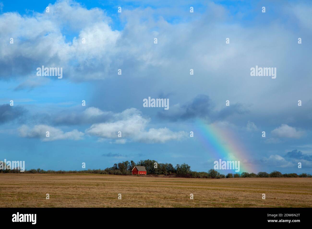 Rainbow Over Cheadle Barn, William Finley National Wildlife Refuge, Oregon Foto Stock