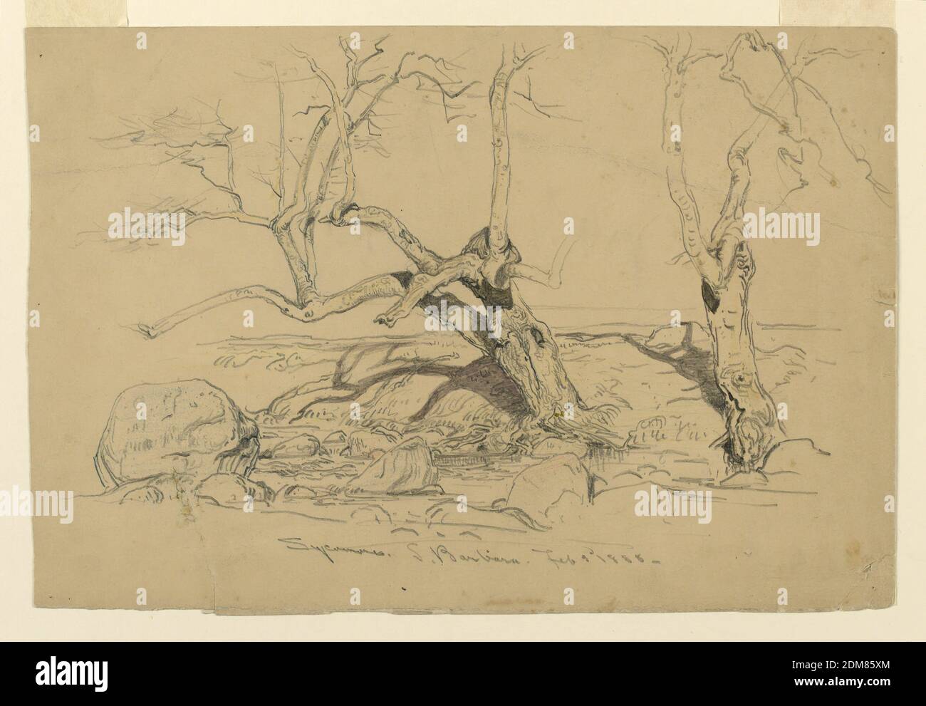 Studio, alberi, Santa Barbara, California, Samuel Colman, americano,  1832–1920, grafite, crayon su carta crema, due sycamores senza foglie sono  mostrati sulla riva di un ruscello, il cui letto è mostrato in primo