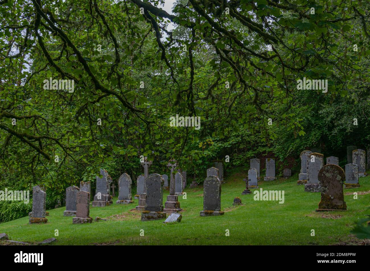 Tombe nel mezzo della foresta vicino alla tomba di Rob Roy, Balquhidder, Scozia. Concetto: Paesaggi famosi e tipici della Scozia, luoghi misteriosi Foto Stock