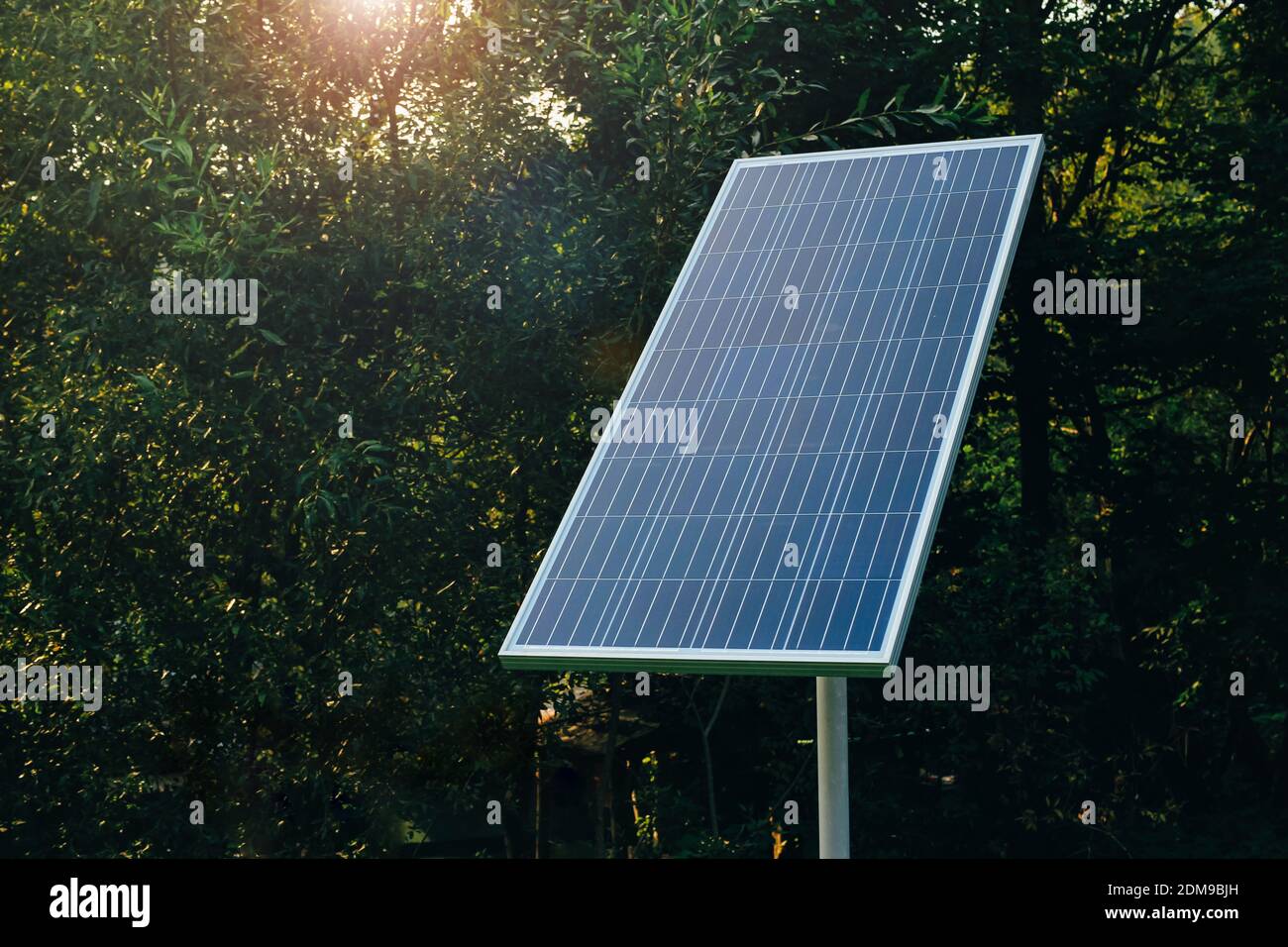 Batteria solare sullo sfondo degli alberi. Fonti energetiche alternative moderne e rispettose dell'ambiente. Foto Stock