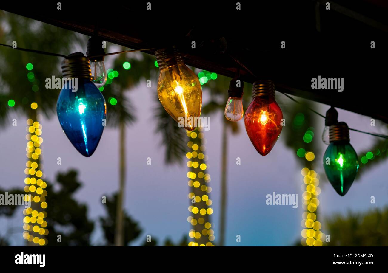 Luci di Natale strung lungo la linea del tetto con la luce sugli alberi dentro sfondo Foto Stock