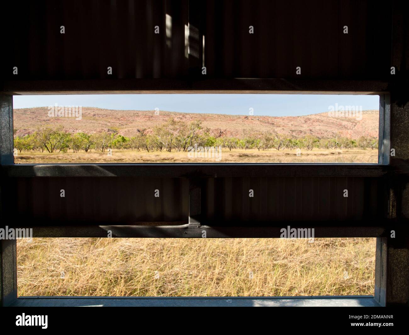 Vista dall'interno di una pelle di uccelli, Bluebush Wetland, Mornington, Kimberley, Australia Occidentale Foto Stock