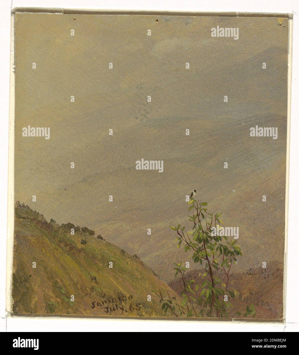 Distant Hills, Frederic Edwin Church, American, 1826–1900, Pennello e dipinto ad olio su cartone, UN uccello è seduto sulla cima di un albero in primo piano a destra. Parti di montagne sono mostrate a sinistra e sullo sfondo a destra., USA, Luglio 1865, Paesaggi, disegno Foto Stock