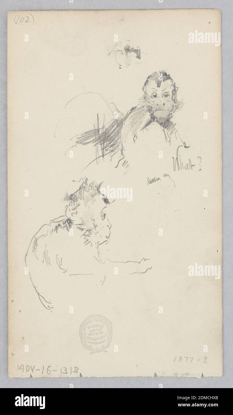 Scimmia, Robert Frederick Blum, americano, 1857–1903, grafite su carta wove, schizzo di un denaro., USA, 1877–1878, studi sulla natura, disegno Foto Stock