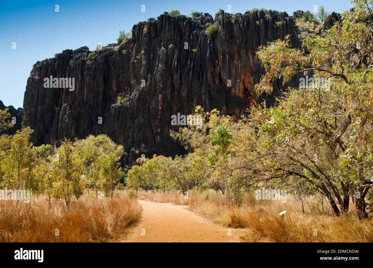 Scogliere calcaree carsiche della gola di Windjana (Bandilngan), Kimberley, Australia occidentale Foto Stock