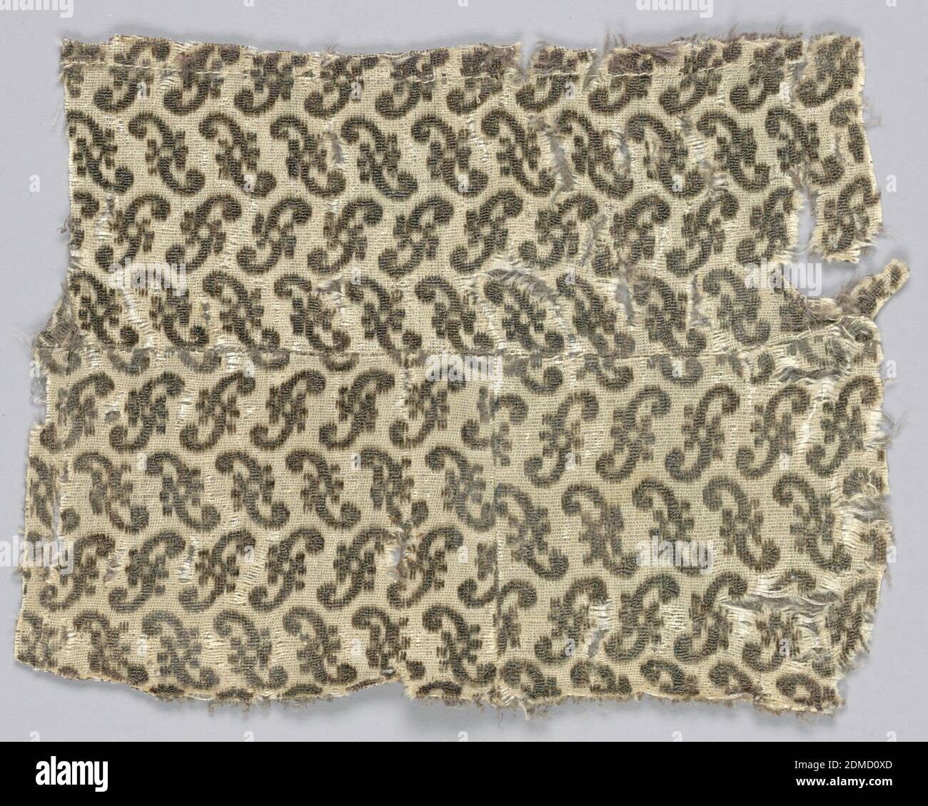 Fragment, Medium: Silk tecnica: Velluto non tagliato, forma a S che gira in direzioni alternate. Tre pezzi cuciti insieme., 17 ° secolo, tessuti tessuti, frammento Foto Stock