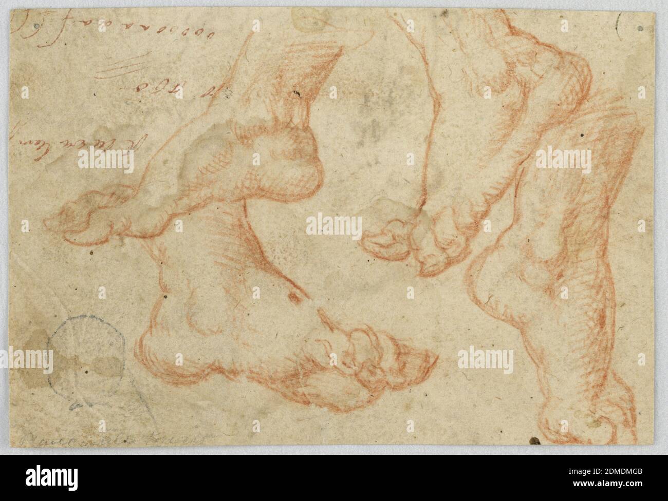 Quattro studi di un piede, pastello rosso su carta, rettangolo orizzontale. Un piede flettente mostrato da quattro diverse prospettive in varie pose; il piede in alto a destra è mostrato a piedi., verso: Parte della testa di un giovane, mostrato in profilo; parte di una statua, una testa grottesca., Italia, metà del tardo XVI secolo, figure, disegno Foto Stock