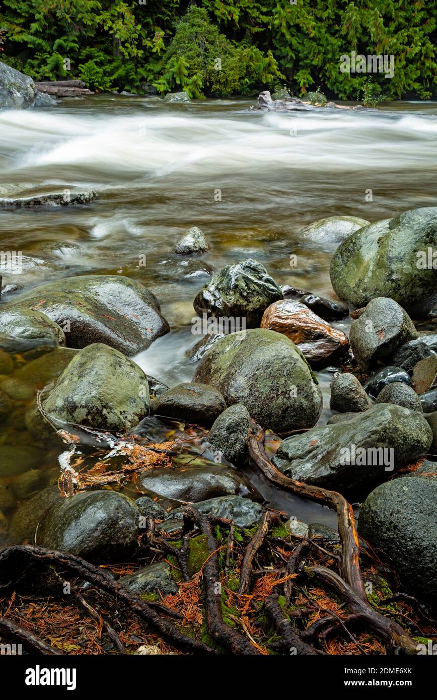 WA18778-00...WASHINGTON - rocce e detriti lungo le rive di Icicle Creek nella Wenatchee National Forest. Foto Stock