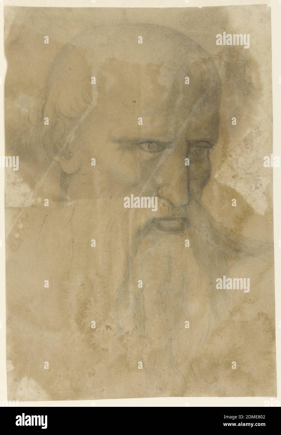 Capo di un anziano uomo arborato, gesso nero su carta panna, testa di un anziano, alato, calvo uomo, semitirato a destra. Ha un intento, verso il basso., Italia, 1800–20, figure, disegno Foto Stock