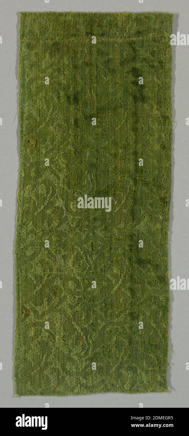 Frammento, mezzo: Seta tecnica: Ordito supplementare che forma il pelo tagliato e non tagliato sollevato (velluto), rami di scorrimento in verde., 18 ° secolo, tessuti tessuti, frammento Foto Stock