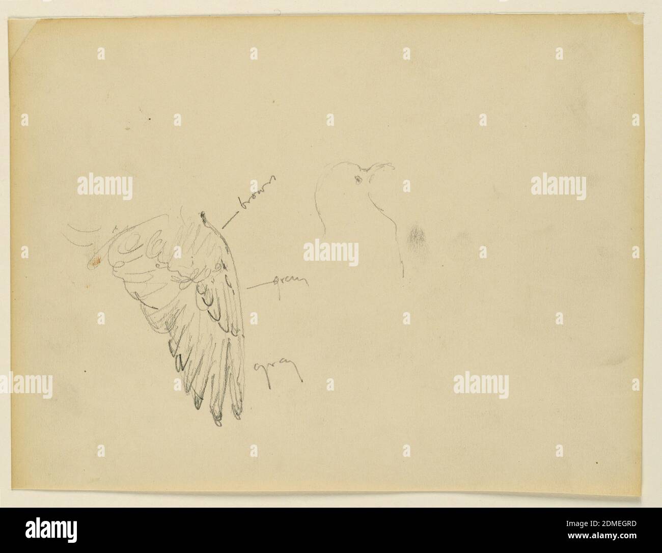 Studio per 'la Beneficienza della Legge,' Tribunale della Contea di Essex, Newark, NJ, Kenyon Cox, americano, 1856–1919, grafite su carta, recto: Schizzo di un uccello; verso: Schizzo parziale di una figura femminile seduta., USA, 1905, figure, disegno Foto Stock