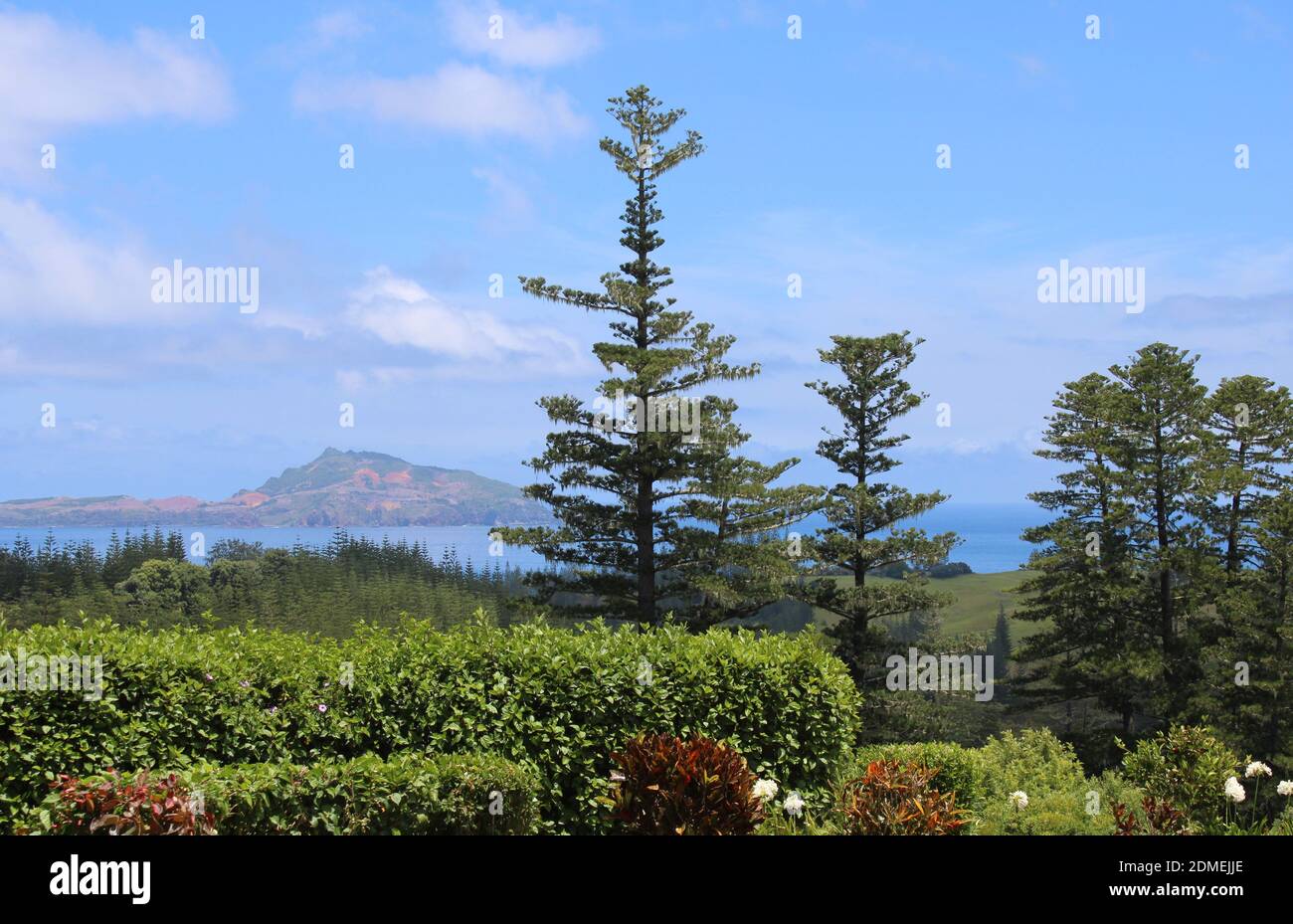 Isola Norfolk. Vista da Taylors Road, Norfolk Island, di Phillip Island, con endemici Norfolk Island Pines. (Araucaria eterofilla) Foto Stock