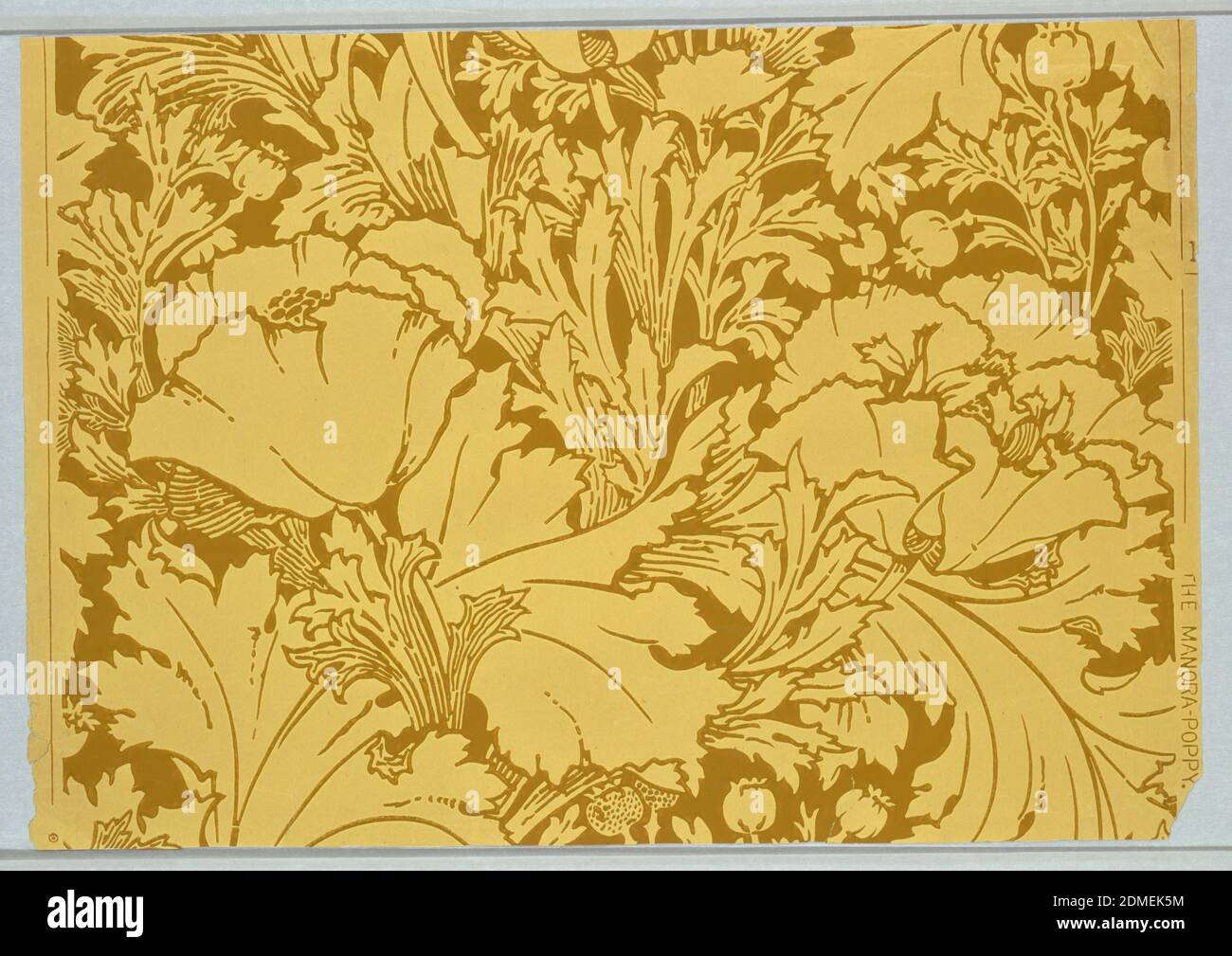 Il Manora-Poppy, stampato a macchina su carta non macinata, in stile Art Nouveau contenente papaveri su larga scala con fogliame e cialde. Stampato in verde ocra profondo su carta ocra., Inghilterra, USA, ca. 1900, rivestimenti, pareti laterali, pareti laterali Foto Stock