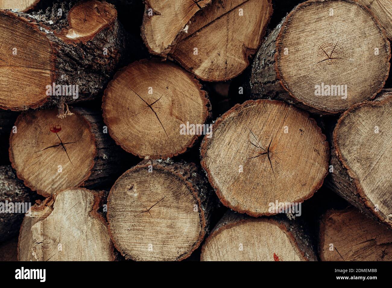 Pile di tavole di legno nella segheria, piallatura. Foto Stock